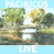 Audio: Skogie & the Flaming Pachucos v1 - Live on Minnehaha Creek